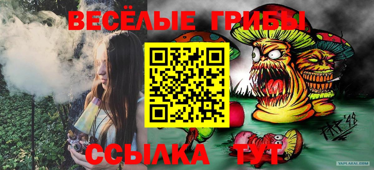 Псилоцибиновые грибы GOLDEN TEACHER  купить наркотики цена  Минусинск  Вход с VPN  Галлюциногенные грибы Cubensis 