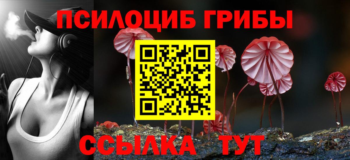 Галлюциногенные грибы MAGIC MUSHROOMS Минусинск